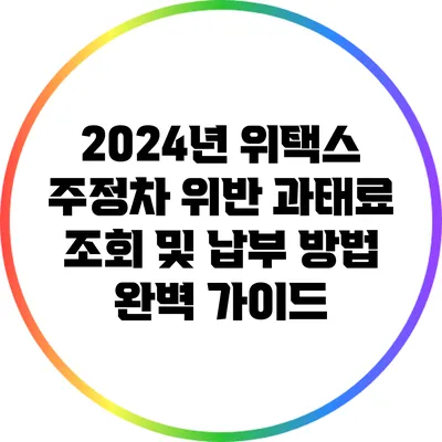 2024년 위택스 주정차 위반 과태료 조회 및 납부 방법 완벽 가이드