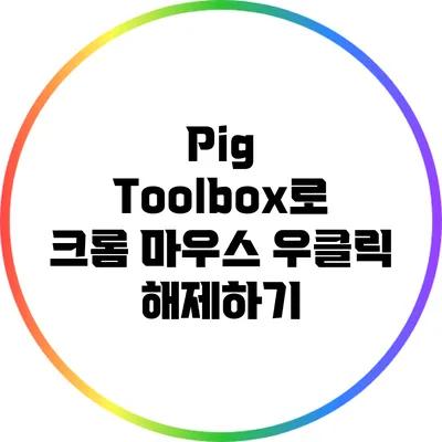 Pig Toolbox로 크롬 마우스 우클릭 해제하기