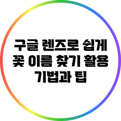 구글 렌즈로 쉽게 꽃 이름 찾기: 활용 기법과 팁