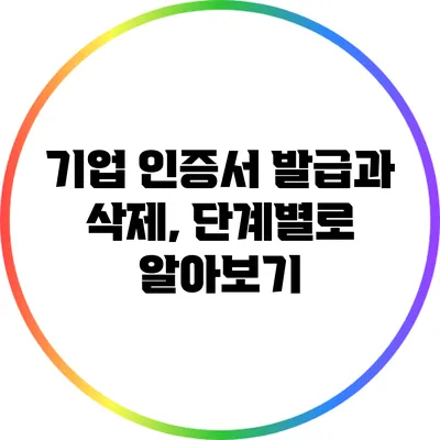 기업 인증서 발급과 삭제, 단계별로 알아보기