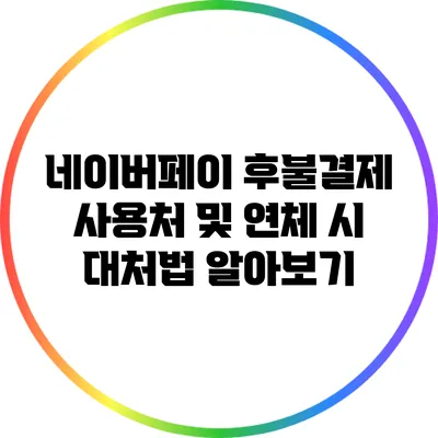 네이버페이 후불결제 사용처 및 연체 시 대처법 알아보기