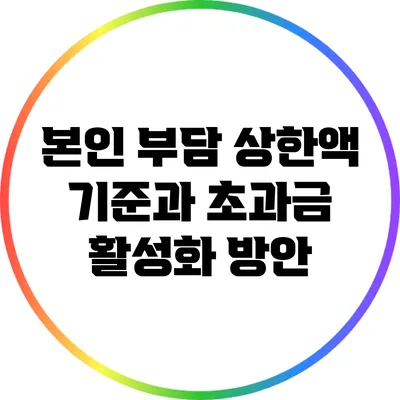 본인 부담 상한액 기준과 초과금 활성화 방안