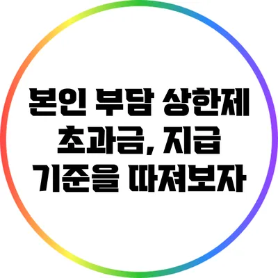본인 부담 상한제 초과금, 지급 기준을 따져보자