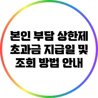 본인 부담 상한제 초과금 지급일 및 조회 방법 안내