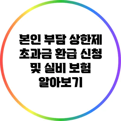 본인 부담 상한제 초과금 환급 신청 및 실비 보험 알아보기
