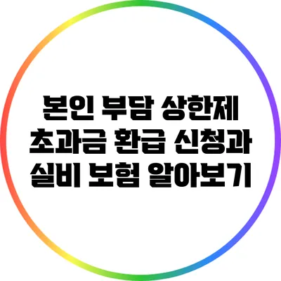 본인 부담 상한제 초과금 환급 신청과 실비 보험 알아보기