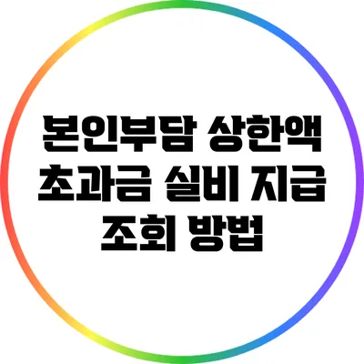 본인부담 상한액 초과금 실비 지급 조회 방법