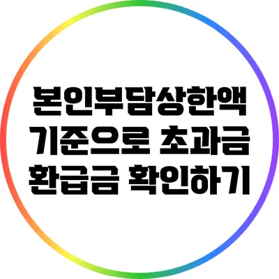 본인부담상한액 기준으로 초과금 환급금 확인하기