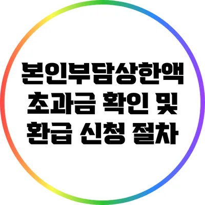 본인부담상한액 초과금 확인 및 환급 신청 절차