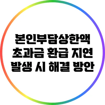 본인부담상한액 초과금 환급 지연 발생 시 해결 방안
