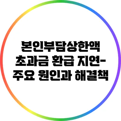 본인부담상한액 초과금 환급 지연-주요 원인과 해결책