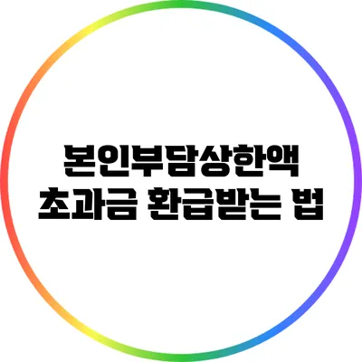 본인부담상한액 초과금 환급받는 법
