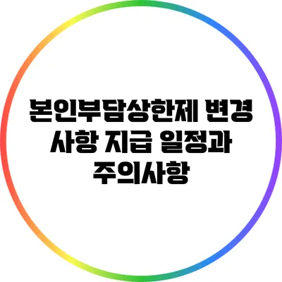 본인부담상한제 변경 사항: 지급 일정과 주의사항