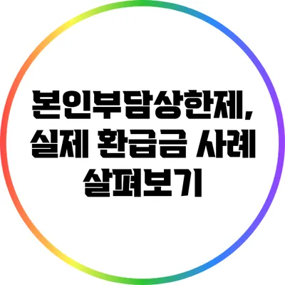 본인부담상한제, 실제 환급금 사례 살펴보기