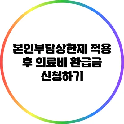 본인부담상한제 적용 후 의료비 환급금 신청하기