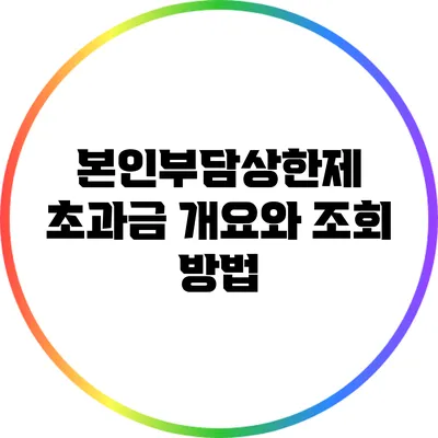 본인부담상한제 초과금 개요와 조회 방법