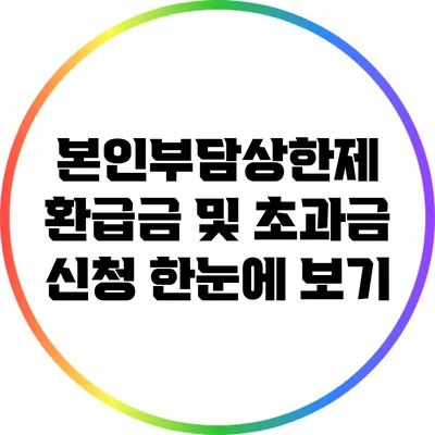 본인부담상한제 환급금 및 초과금 신청 한눈에 보기