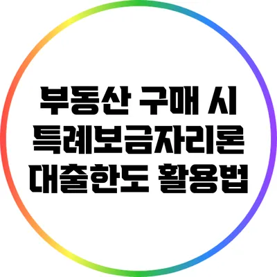 부동산 구매 시 특례보금자리론 대출한도 활용법