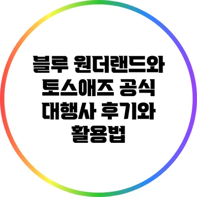 블루 원더랜드와 토스애즈: 공식 대행사 후기와 활용법
