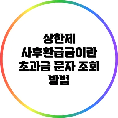 상한제 사후환급금이란? 초과금 문자 조회 방법