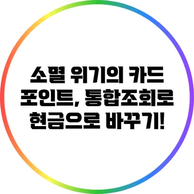 소멸 위기의 카드 포인트, 통합조회로 현금으로 바꾸기!