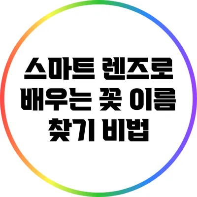 스마트 렌즈로 배우는 꽃 이름 찾기 비법