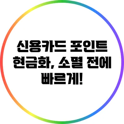 신용카드 포인트 현금화, 소멸 전에 빠르게!