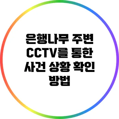 은행나무 주변 CCTV를 통한 사건 상황 확인 방법