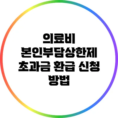 의료비 본인부담상한제 초과금 환급 신청 방법