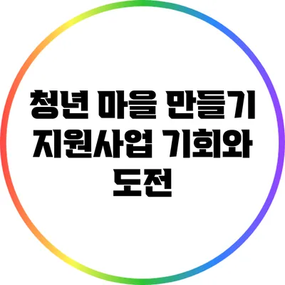 청년 마을 만들기 지원사업: 기회와 도전