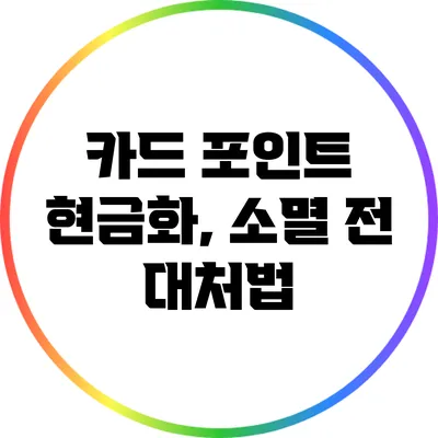 카드 포인트 현금화, 소멸 전 대처법