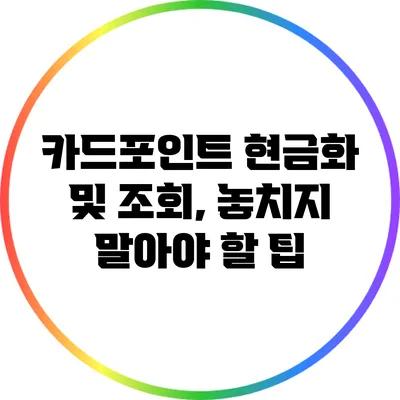카드포인트 현금화 및 조회, 놓치지 말아야 할 팁