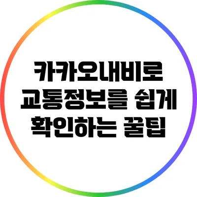 카카오내비로 교통정보를 쉽게 확인하는 꿀팁