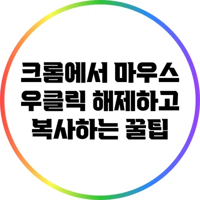 크롬에서 마우스 우클릭 해제하고 복사하는 꿀팁