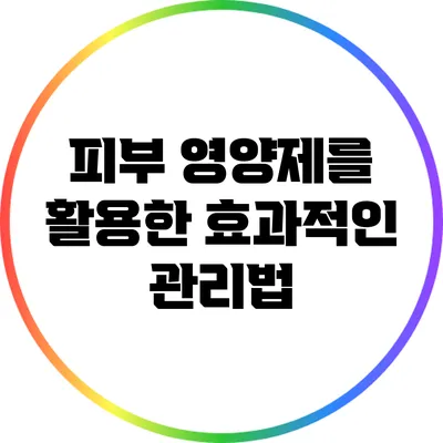피부 영양제를 활용한 효과적인 관리법