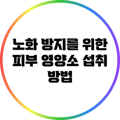 노화 방지를 위한 피부 영양소 섭취 방법