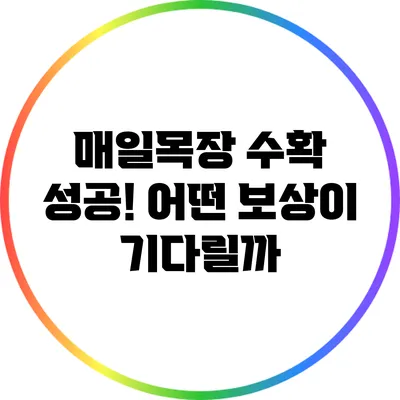 매일목장 수확 성공! 어떤 보상이 기다릴까?