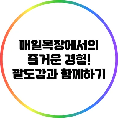 매일목장에서의 즐거운 경험! 팔도감과 함께하기