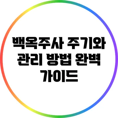 백옥주사 주기와 관리 방법: 완벽 가이드