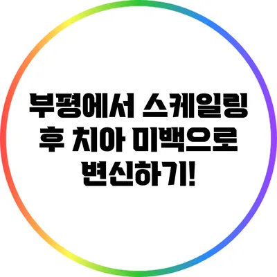 부평에서 스케일링 후 치아 미백으로 변신하기!