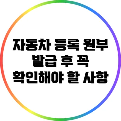 자동차 등록 원부 발급 후 꼭 확인해야 할 사항