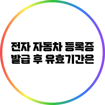 전자 자동차 등록증 발급 후 유효기간은?