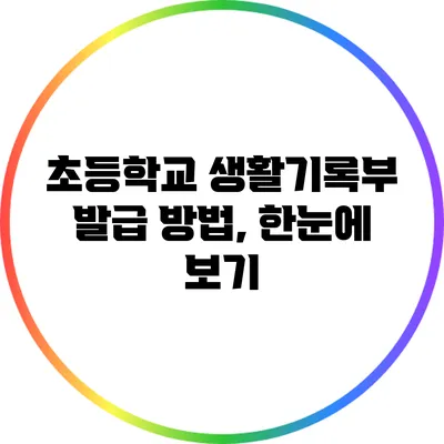 초등학교 생활기록부 발급 방법, 한눈에 보기