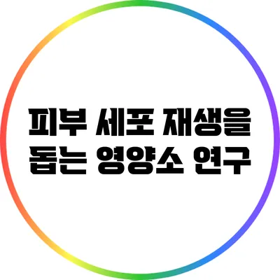 피부 세포 재생을 돕는 영양소 연구