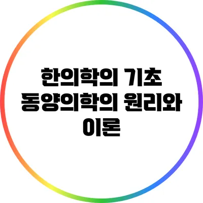 한의학의 기초: 동양의학의 원리와 이론