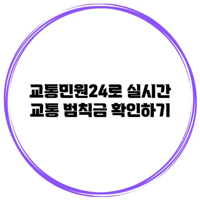 교통민원24로 실시간 교통 범칙금 확인하기