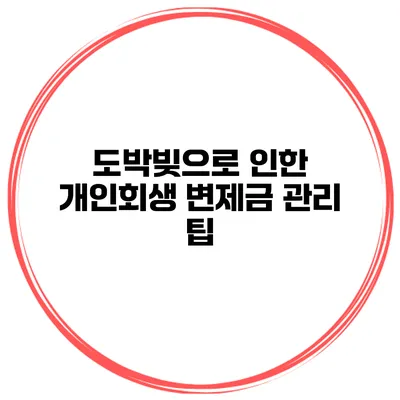 도박빚으로 인한 개인회생 변제금 관리 팁