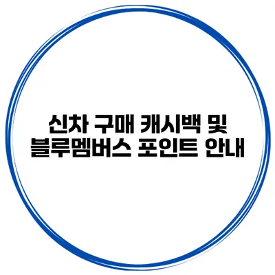 신차 구매 캐시백 및 블루멤버스 포인트 안내