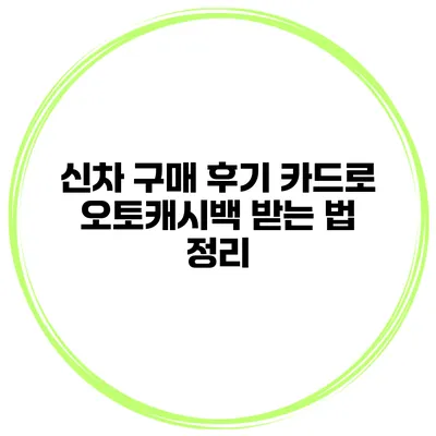 신차 구매 후기 카드로 오토캐시백 받는 법 정리