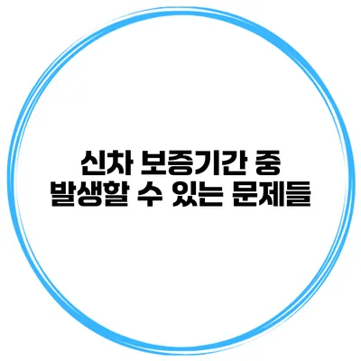 신차 보증기간 중 발생할 수 있는 문제들